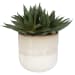 Doha - Succulent Accent - Pearl Silver