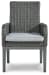 Elite Park - Gray - Arm Chair With Cushion (Set of 2)