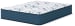 Limited Edition Firm 3.0 - Queen Mattress - White