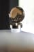 Acario - 17" Jar - Taupe / Gold Finish