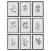 Farmhouse Florals - Framed Prints (Set of 9) - Black