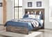 Drystan - Full Panel Bookcase Bed - Brown / Beige
