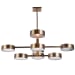 Monocle - 8 Light Chandelier - Brass / Gold