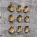 Tamarine - Wood Wall Art (Set of 3) - Light Brown