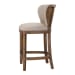 Adiris - Counter Stool - White / Woodtone