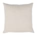 Equilibrium - Zircon Pillow 22' x 22' - Mint Multi