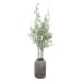 Aldis - Potted River Birch - Pearl Silver