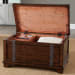Aspen Skies - Storage Trunk - Dark Brown