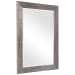 Mirror - Silver Tones