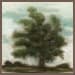 Tree - 48" x 48" Painting By Buddy Whitlock - Dark Green