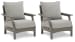 Visola - Gray - Lounge Chair W/Cushion (Set of 2)