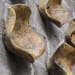 Tamarine - Wood Wall Art (Set of 3) - Light Brown