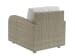 Sand Dune - Lounge Chair - Beige / White