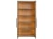 Griffith Park - Display Cabinet - Canyon
