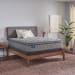 Opal House - Soft Euro Pillow Top Mattress - Twin Long