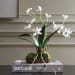 Clovis - Orchid Drop-In - White