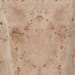 Avena - Burl Wood Square End Table - Natural