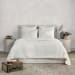 Bari - 2 Piece Velvet Twin Quilt Set - Cloud