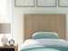 Cielden - Two-Tone - Twin Panel Headboard
