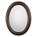 Mirror With Antique Gold Undertones - Dark Bronze