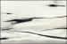 Perspective - 40" x 60" Painting Art By Buddy Whitlock - White / Black