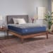 Royal Cove - Medium Hybrid Mattress - Full