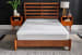 Tempur-Pedic - Protector Mattress - King
