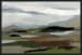 Grove - 48" x 72" Painting By Buddy Whitlock - Green / Blue