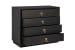 Buxton - Large Chest - Black