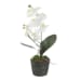 Laris - Orchid Drop-In - White