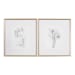 Botanical Sketches - Framed Prints (Set of 2) - Gold