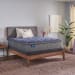 Grand Jewel - Soft Euro Pillow Top Mattress - Twin