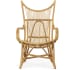 Canary - Occasional Chair - Light Brown