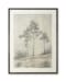 Fenngrove - Wall Art - Brown / Beige