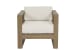 Coastal Teak - Club Chair In Canvas, No Welt - Teak