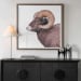 Big Horn - Sheep Framed Print - Black / Brown / White