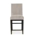 Ryker - Counter Chair With Upholstered Seat And Back (Set of 2) - Nocturn Black