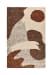 Hesperia - 5' x 8' Area Rug - Rust Multi