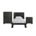 Allan - Twin Panel 3 Piece Bedroom Set - Black