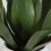 Tierra Agave - Centerpiece With Vase - White