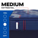 Posturepedic Elite - Brenham II Euro Pillow Top Medium Mattress - Split King