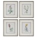 Heirloom Blooms - Study Framed Prints (Set of 4) - Green