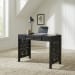 Trellis Lane - Accent Writing Desk - Black