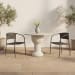 Zola - Outdoor Dining Chair (Set of 2) - Dark Brown