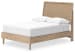Cielden - Two-tone - Full Panel Bed