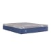 Royal Cove - Medium Hybrid Mattress - Full