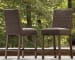 Paradise Trail - Barstool (Set of 2) - Medium Brown