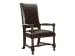 Kingstown - Edwards Arm Chair - Dark Brown