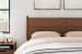 Fordmont - Auburn - Queen Panel Headboard
