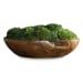 Kinsale - Moss Centerpiece - Light Brown